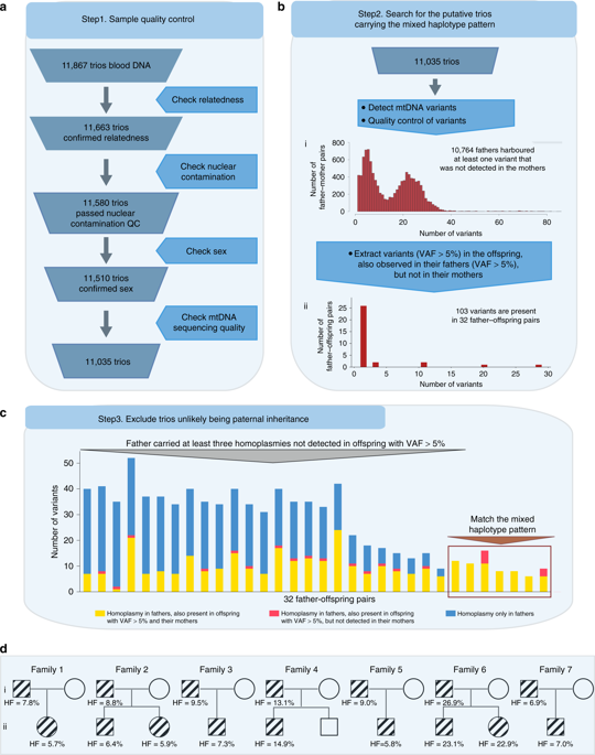 Nuclear Mitochondrial Dna Segments Resemble Paternally Inherited Mitochondrial Dna In Humans Nature Communications X Mol