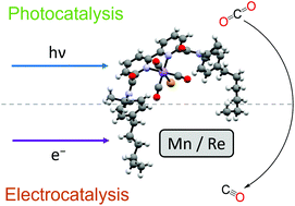 Sterically Hindered Re And Mn Co2 Reduction Catalysts For Solar Energy Conversion Dalton Transactions X Mol