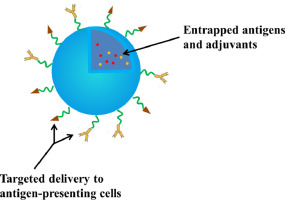 Nanoparticle cancer vaccines Design considerations and recent advances