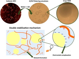 Double Stabilization Mechanism Of O W Pickering Emulsions Using Cationic Nanofibrillated Cellulose Journal Of Colloid And Interface Science X Mol