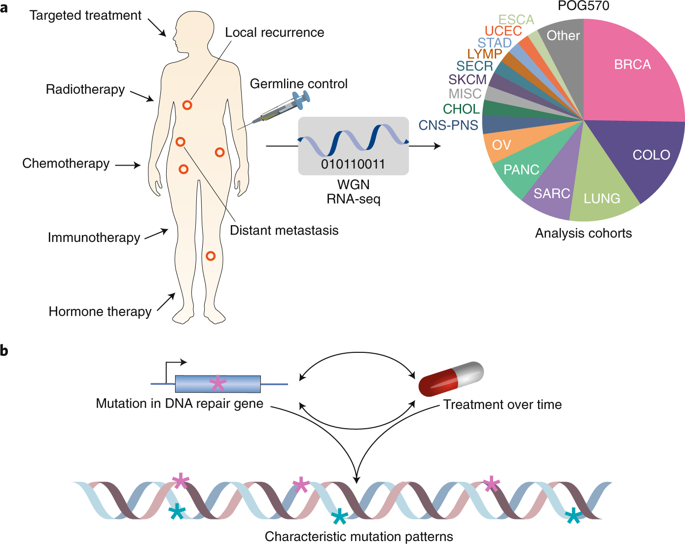 the-genomic-landscape-of-advanced-cancer-nature-cancer-x-mol