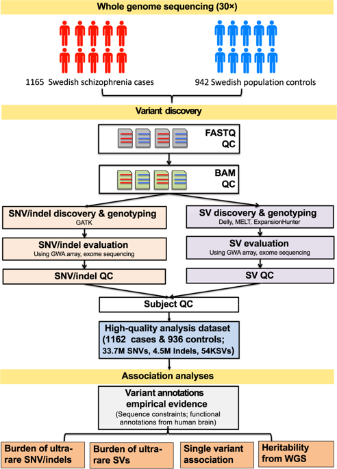 Increased Burden Of Ultra Rare Structural Variants Localizing To Boundaries Of Topologically Associated Domains In Schizophrenia Nature Communications X Mol