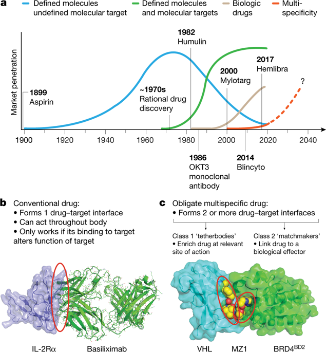 Multispecific Drugs Herald A New Era Of Biopharmaceutical Innovation Nature X Mol