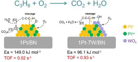 Deep Oxidation Of Propane Over Wo3 Promoted Pt Bn Catalysts The Critical Role Of Pt Wo3 Interface Applied Catalysis B Environmental X Mol