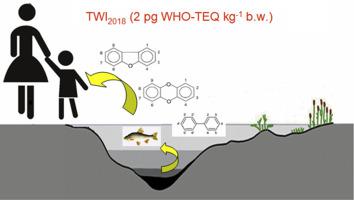 二恶英和多氯联苯 环境对淡水鱼污染的影响以及对消费者的风险 Environmental Pollution X Mol