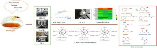 Characterization Of Key Aroma Compounds In Huangjiu From Northern China ...