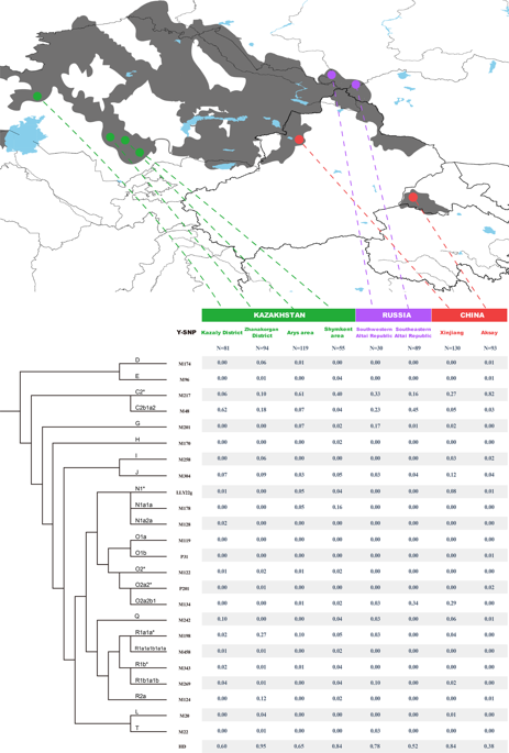 Y-chromosome evidence confirmed the Kerei-Abakh origin of Aksay Kazakhs