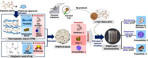 Thermoplastic cassava starch/poly(lactic acid) blend ...