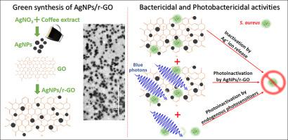 Effective Killing Of Bacteria Under Blue Light Irradiation Promoted By Green Synthesized Silver Nanoparticles Loaded On Reduced Graphene Oxide Sheets Materials Science And Engineering C X Mol