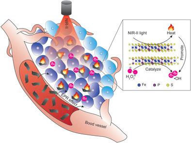 Highly Efficient 2D NIR‐II Photothermal Agent with Fenton Catalytic