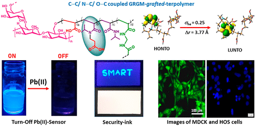 Fluorescent Guar Gum G Terpolymer Via In Situ Acrylamido Acid Fluorophore Monomer In Cell Imaging Pb Ii Sensor And Security Ink Acs Applied Energy Materials X Mol