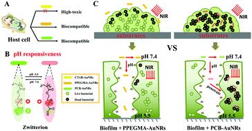 Gold Nanorods With Surface Charge-switchable Activities For Enhanced ...