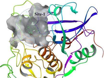 Identification Of Potential Inhibitors Of Cathepsin-B Using Shape ...