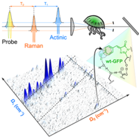 Two-Dimensional Impulsively Stimulated Resonant Raman Spectroscopy Of ...