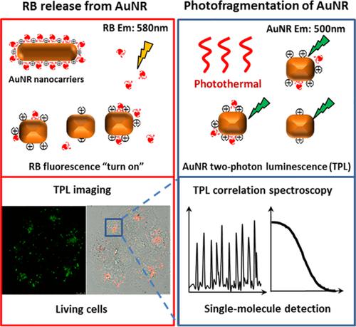 Visualization Photofragmentation-induced Rhodamine B Release From Gold ...