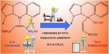 Chemoselective Oxidative Addition Of Vinyl Sulfones Mediated By Palladium Complexes Bearing Picolyl N Heterocyclic Carbene Ligands Dalton Transactions X Mol