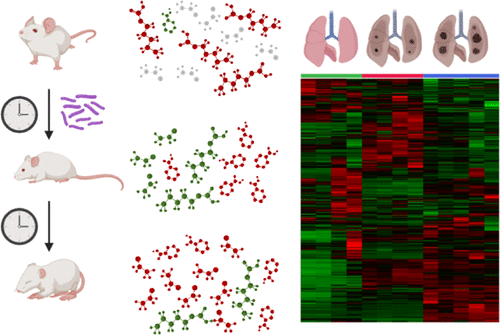 使用多平台质谱方法对结核分枝杆菌感染后的小鼠肺代谢组进行全面检查 Journal Of Proteome Research X Mol