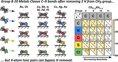 Impact Of Metal And Heteroatom Identities In The Hydrogenolysis Of C X Bonds X C N O S And Cl Acs Catalysis X Mol