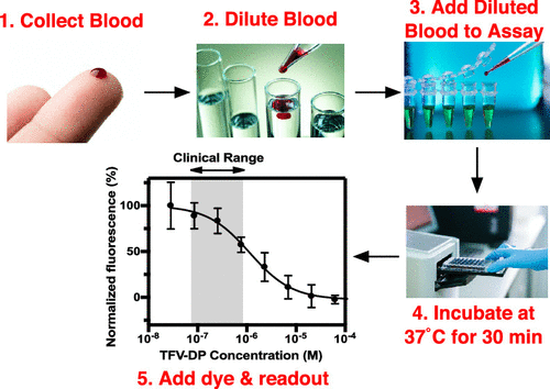 Enzymatic Assay For Rapid Measurement Of Antiretroviral Drug Levels Acs Sensors X Mol