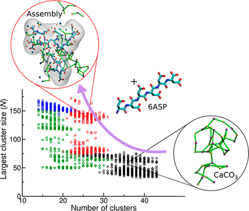 Amino Acid And Oligopeptide Effects On Calcium Carbonate Solutions ...