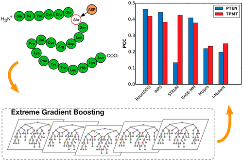 Accurately Predicting Mutation-Caused Stability Changes From Protein ...