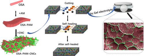 Polysaccharide-based Fast Self-healing Ion Gel Based On Acylhydrazone ...