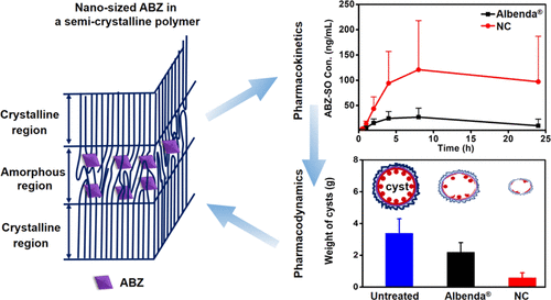 Improvement Of Antialveolar Echinococcosis Efficacy Of Albendazole By A Novel Nanocrystalline Formulation With Enhanced Oral Bioavailability Acs Infectious Diseases X Mol