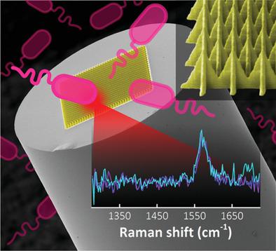 Fiber‐Optic SERS Probes Fabricated Using Two‐Photon Polymerization For ...