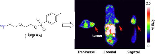 Radiosynthesis And Preclinical Evaluation Of [18F]FEM As A Potential ...