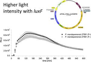 LuxF对细菌生物发光中光强度的影响。,Journal Of Photochemistry And Photobiology B ...