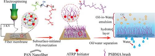 Embedded Polyzwitterionic Brush-modified Nanofibrous Membrane Through ...