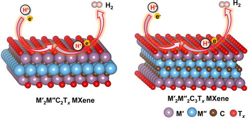 Computational Screening Of 2d Ordered Double Transition Metal Carbides Mxenes As Electrocatalysts For Hydrogen Evolution Reaction The Journal Of Physical Chemistry C X Mol