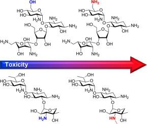 The Relationship Between The Structure And Toxicity Of Aminoglycoside Antibiotics Bioorganic Medicinal Chemistry Letters X Mol