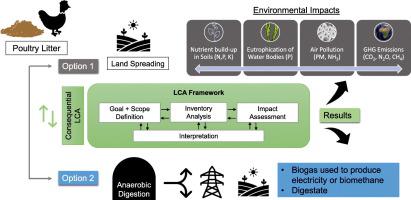 家禽垃圾的厌氧消化 生命周期评估 Science Of The Total Environment X Mol