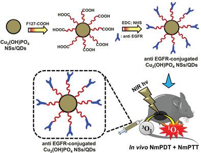 Size And Shape Effects Of Near‐Infrared Light‐Activatable Cu2(OH)PO4 ...