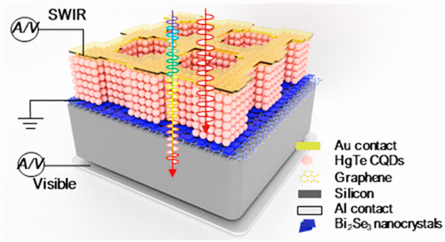 Colloidal Quantum-Dots/Graphene/Silicon Dual-Channel Detection Of ...