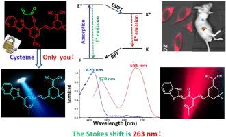 An NIR ESIPT-based Fluorescent Probe With Large Stokes Shift For ...