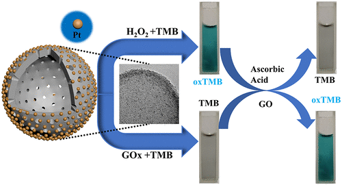 Hollow Mesoporous Carbon Nanospheres Loaded With Pt Nanoparticles For ...