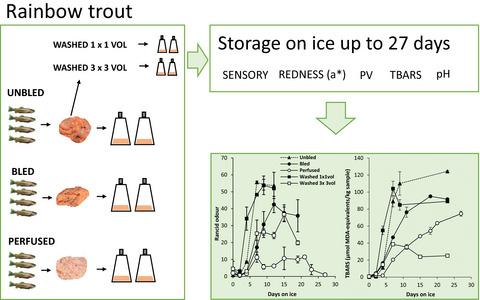 A trout (Oncorhynchus mykiss) perfusion model approach to elucidate the ...