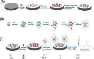 A Molecularly Imprinted Polymer Combined With Dual Functional Au@Fe3O4 ...