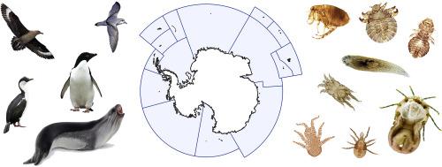 节肢动物寄生虫的南极和亚南极鸟类和pin 寄主 寄生虫协会的审查 International Journal For Parasitology Parasites And Wildlife X Mol