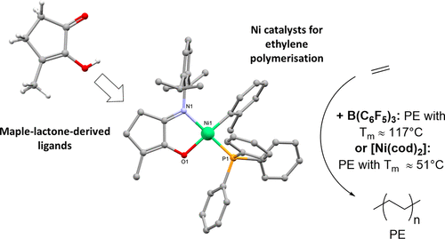 Neutral Ni Ii Catalysts Based On Maple Lactone Derived N O Ligands For The Polymerization Of Ethylene Organometallics X Mol