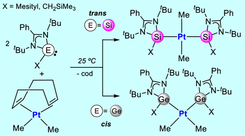 Reactivity Of Amidinatosilylenes And Amidinatogermylenes With Ptme2 H4 Cod Cis Versus Trans Ptme2l2 Complexes And Cyclometalation Reactions Organometallics X Mol