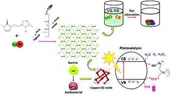 Synthesis And Dye Adsorption Studies Of The Dibromo 1 1 1 2 Ethanediyl Bis 3 Methyl Imidazole 2 Thione Dicopper I N Polymer And Its Conversion To Cuo Nanospheres For Photocatalytic And Antibacterial Applications New Journal Of Chemistry X Mol