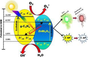 Novel Exfoliated Graphitic C3n4 Hybridised Znbi2o4 G C3n4 Znbi2o4 Nanorods For Catalytic Reduction Of 4 Nitrophenol And Its Antibacterial Activity Journal Of Photochemistry And Photobiology A Chemistry X Mol