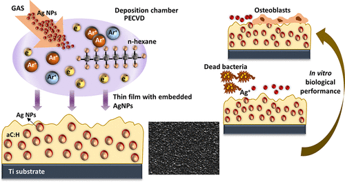 Investigation Of Ag A C H Nanocomposite Coatings On Titanium For Orthopedic Applications Acs Appl Mater Interfaces X Mol