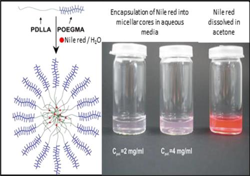 Poly Dllactideb Oligo Ethylene Glycol Methyl Ether Meth Acrylate