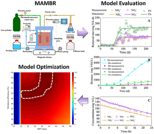 Denitrifying Anaerobic Methane Oxidation And Anammox Process In A ...