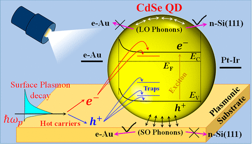 Plasmonic Hot Carrier Induced Photosensitization Of Cdse Quantum Dots Role Of Phonons The Journal Of Physical Chemistry C X Mol