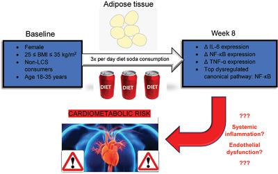 Consumption Of Diet Soda Sweetened With Sucralose And Acesulfame ...